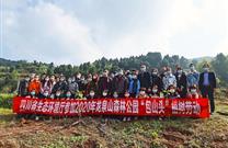 參加省直機關工委組織植樹節活動